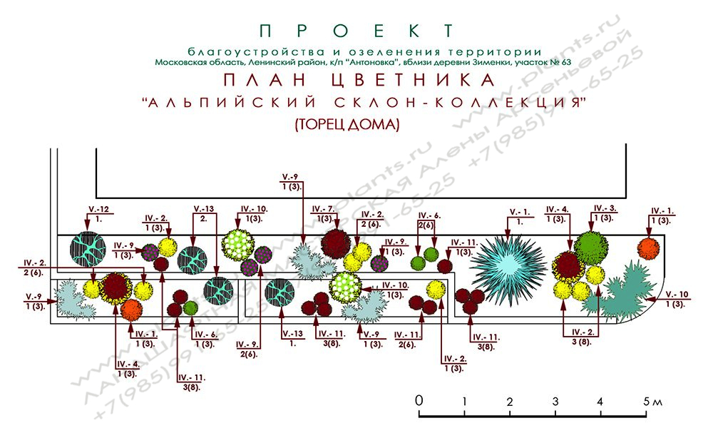 Проект участка зо соток - подпорные стенки и декоративные кустарники